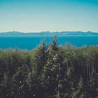 呼死你免费试用在线