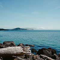 无限轰炸手机软件短信下载