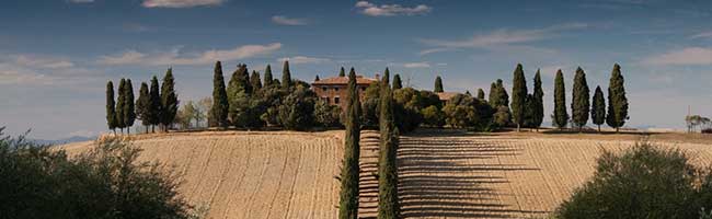 泡泡短信压力测试官网