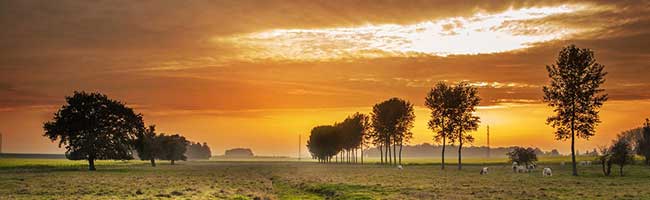 云呼网页版免费试用